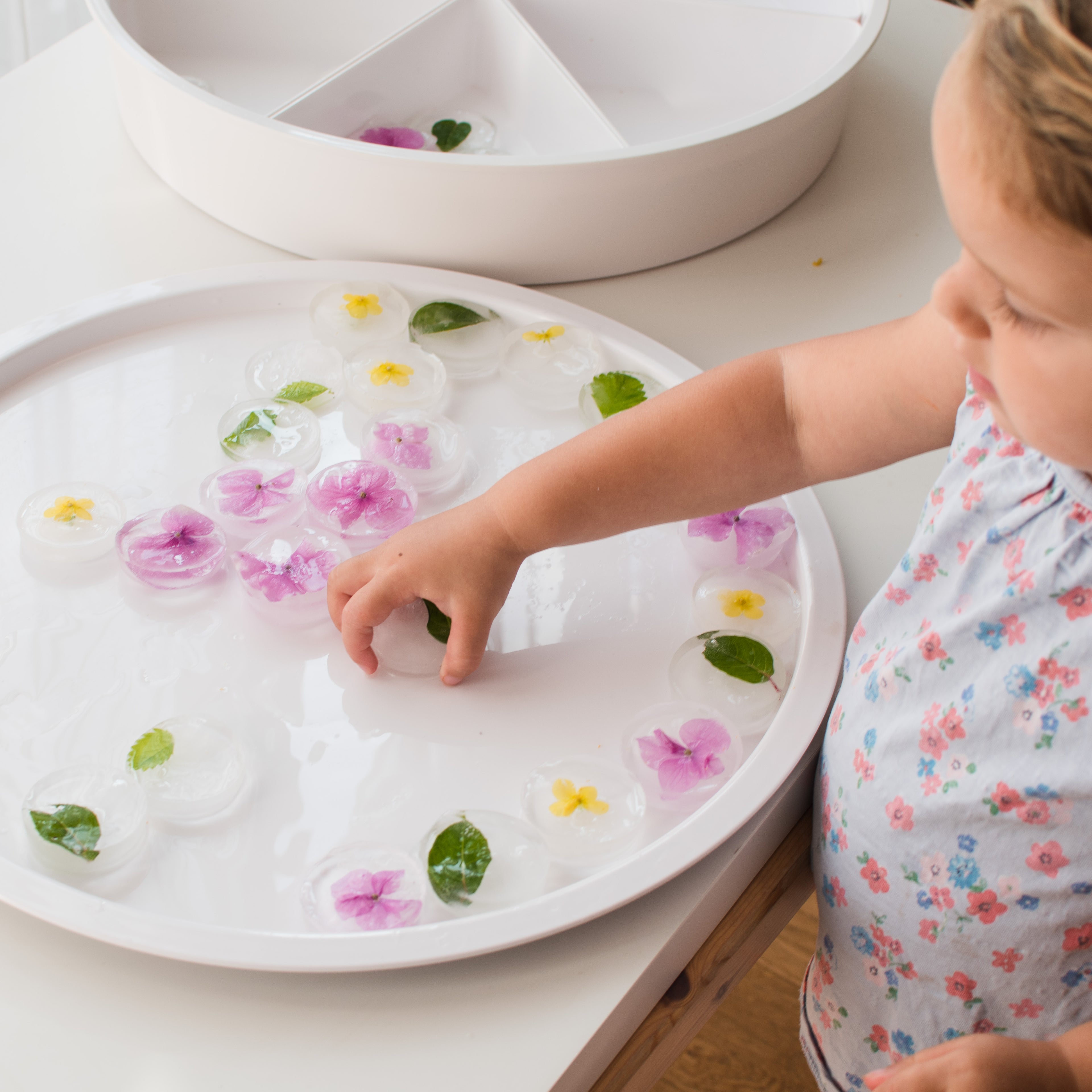 PlayTRAY sansefat - inkl lokk og seks innmatskåler