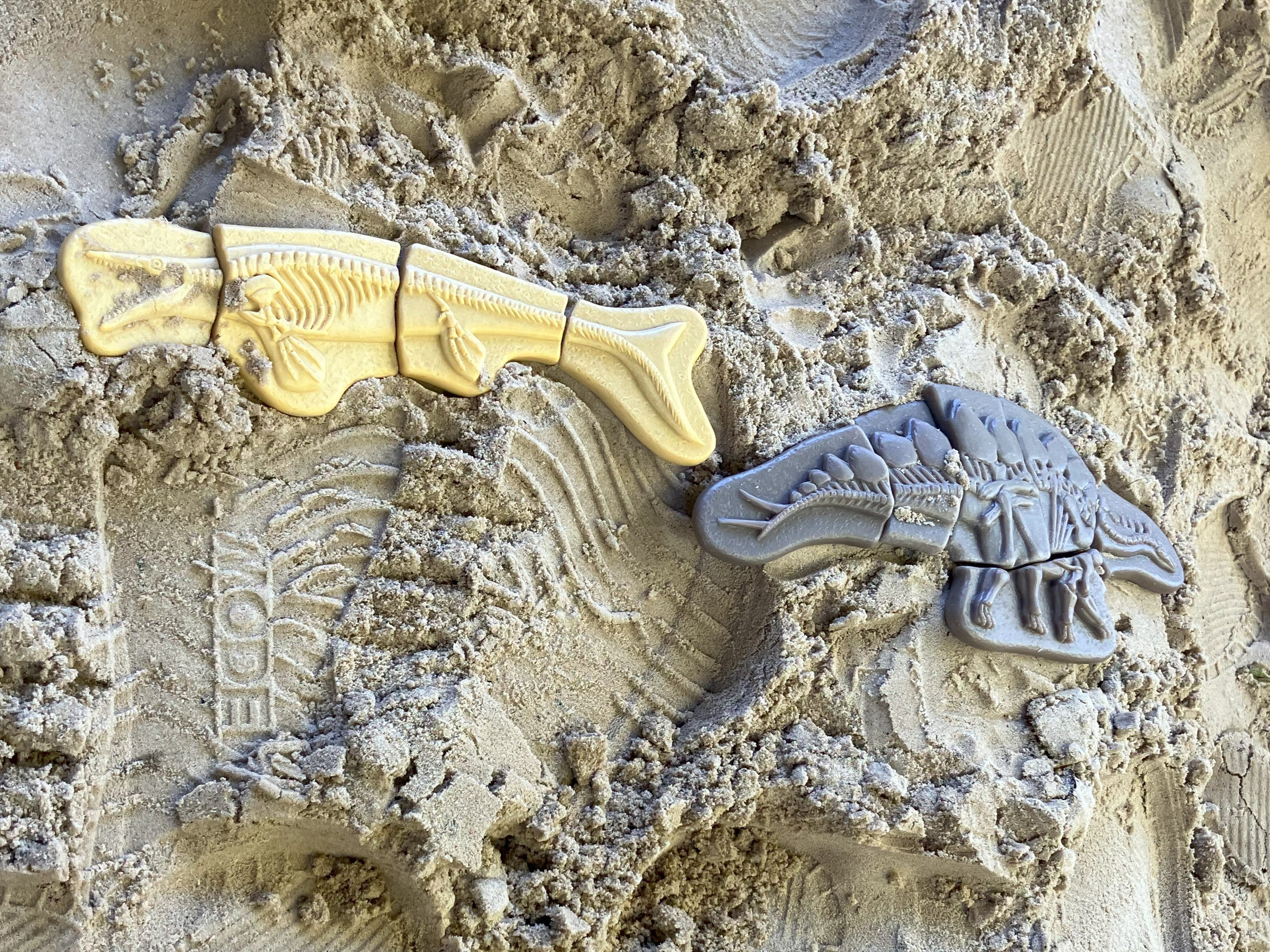 Dig & Discover – Pliosaur & Stegosaurus