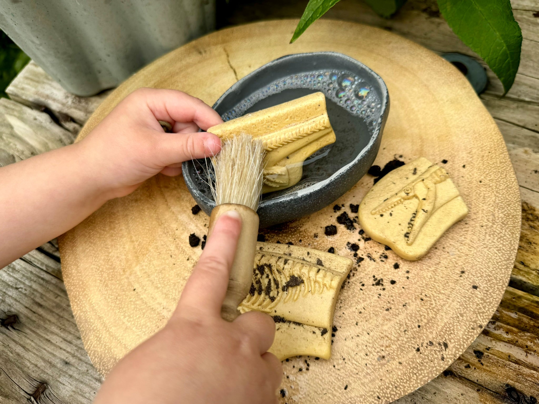 Dig & Discover – Pliosaur & Stegosaurus