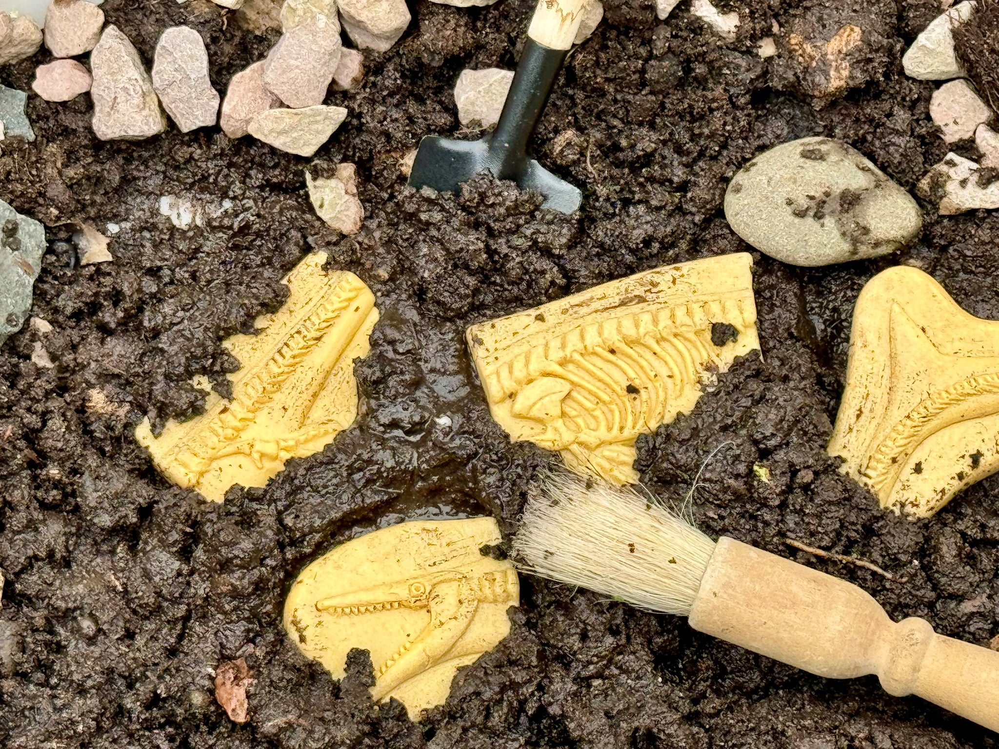 Dig & Discover – Pliosaur & Stegosaurus