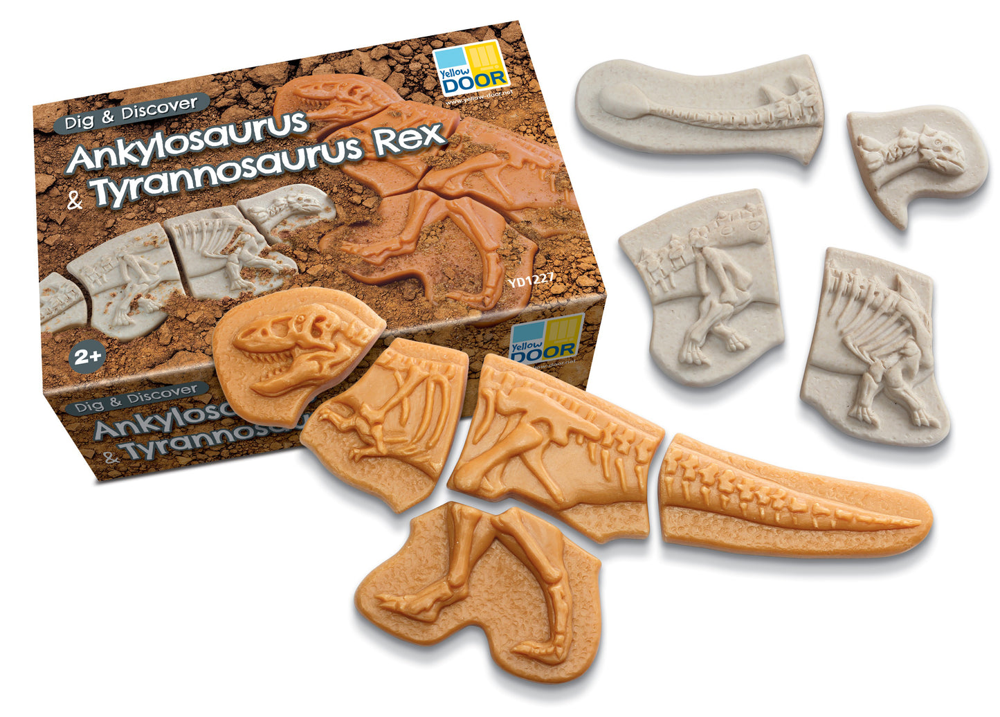 Forhåndsbestilling: Dig & Discover – Ankylosaurus & Tyrannosaurus rex