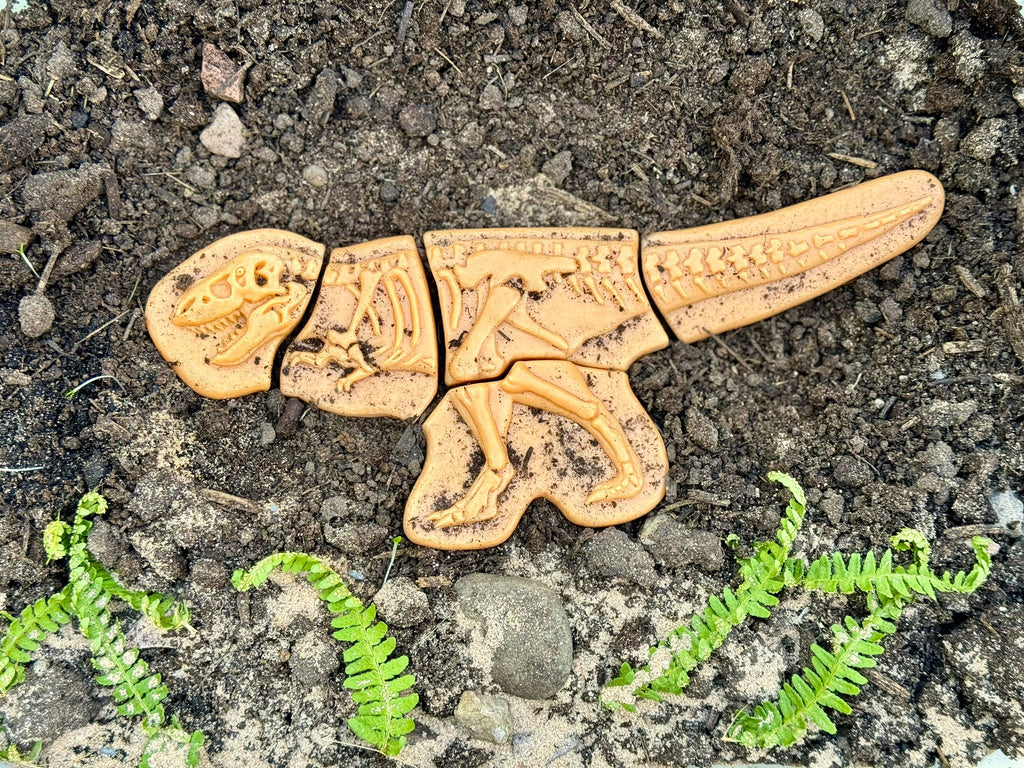 Forhåndsbestilling: Dig & Discover – Ankylosaurus & Tyrannosaurus rex