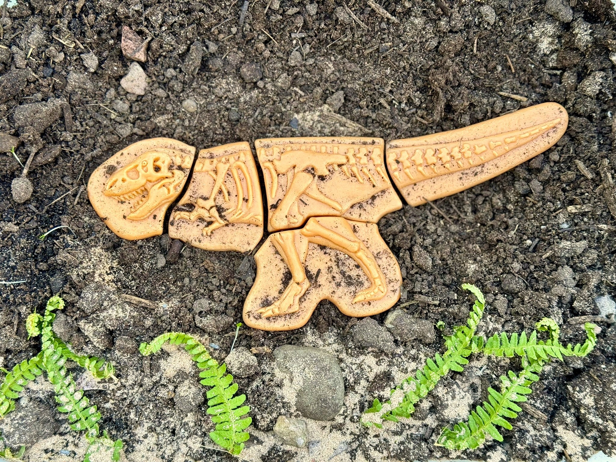 Forhåndsbestilling: Dig & Discover – Ankylosaurus & Tyrannosaurus rex