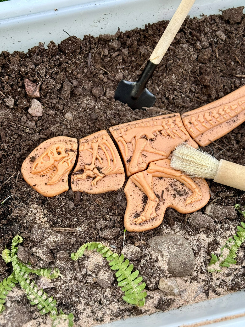 Forhåndsbestilling: Dig & Discover – Ankylosaurus & Tyrannosaurus rex