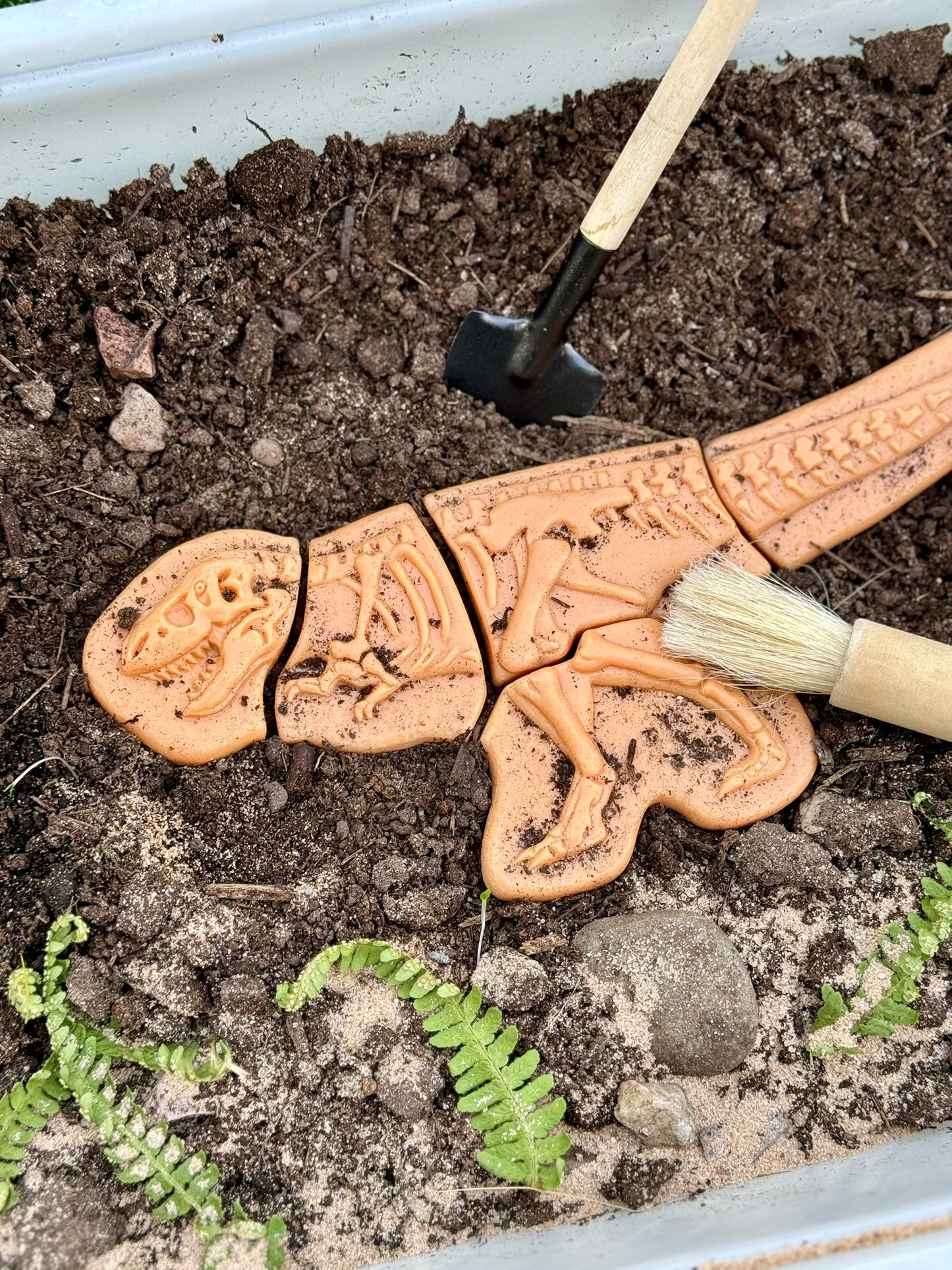 Forhåndsbestilling: Dig & Discover – Ankylosaurus & Tyrannosaurus rex