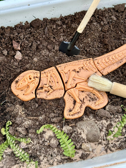 Forhåndsbestilling: Dig & Discover – Ankylosaurus & Tyrannosaurus rex