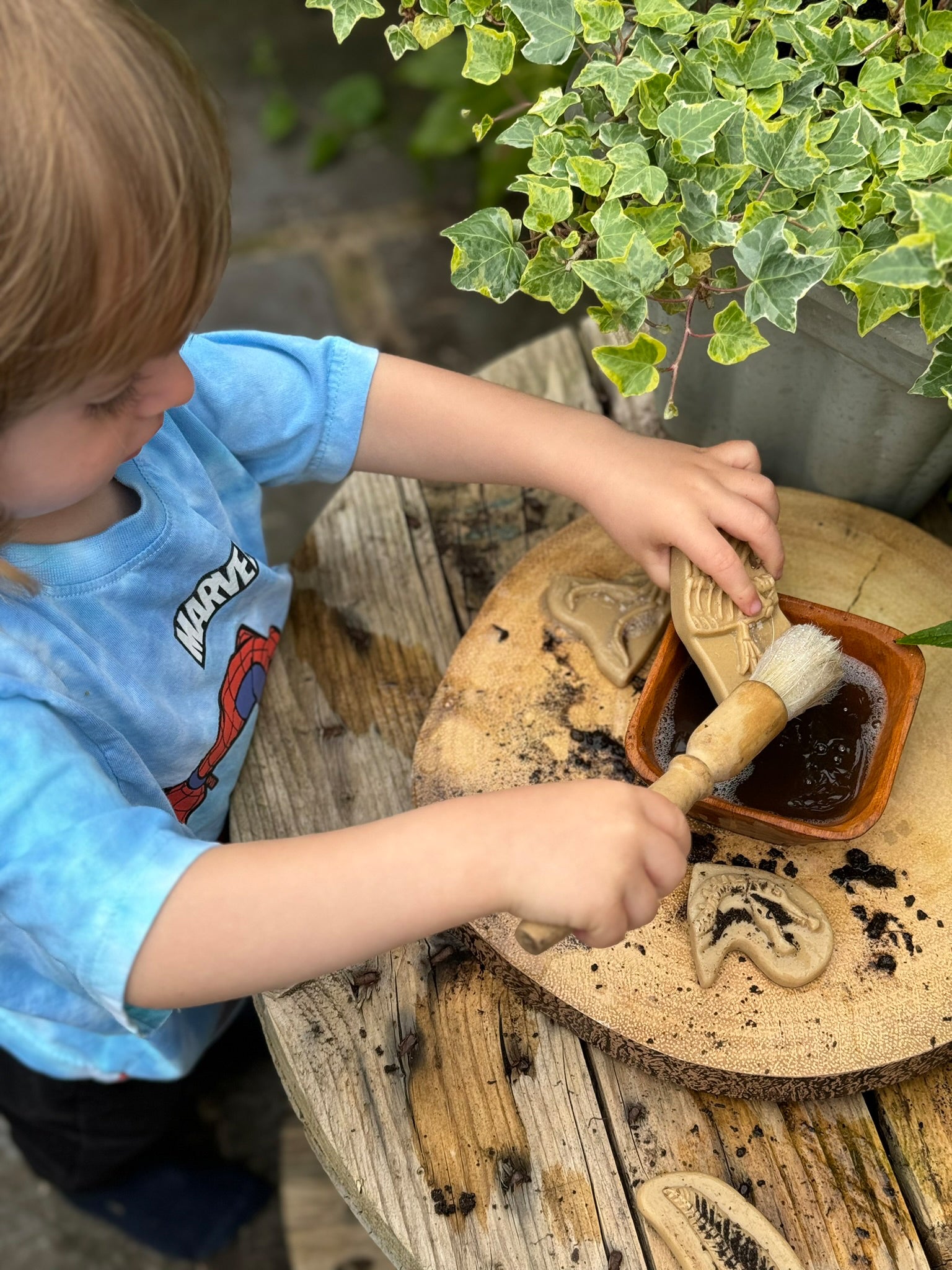 Dig & Discover – Triceratops & Spinosaurus