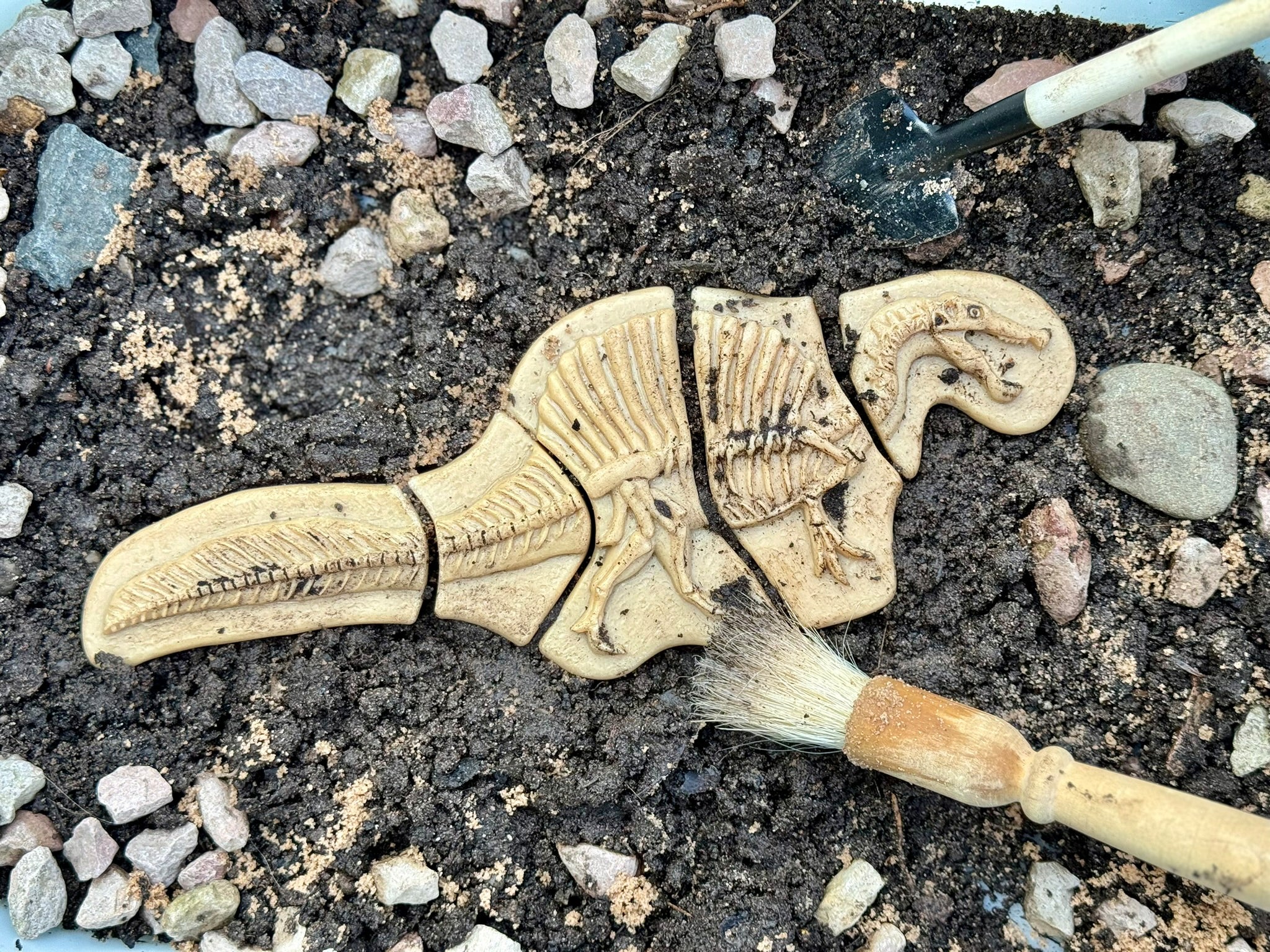 Dig & Discover – Triceratops & Spinosaurus