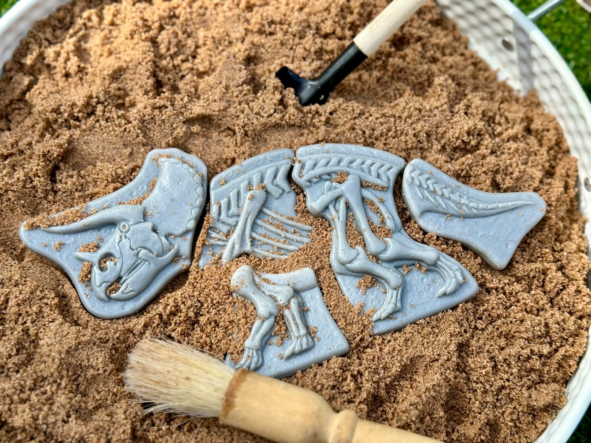 Dig & Discover – Triceratops & Spinosaurus