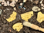 Dig & Discover – Pliosaur & Stegosaurus