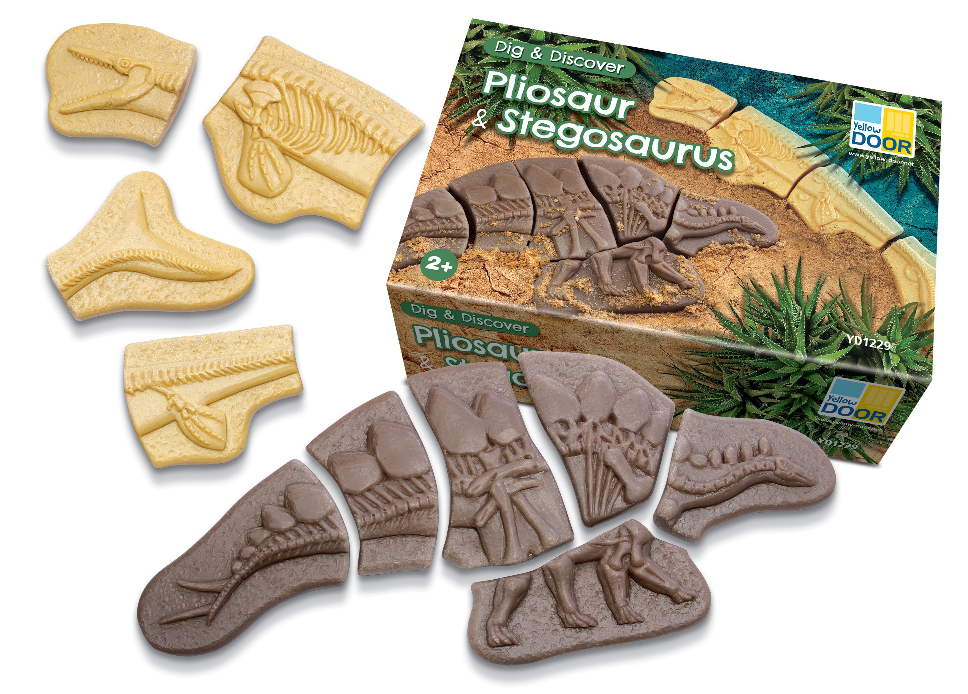 Dig & Discover – Pliosaur & Stegosaurus