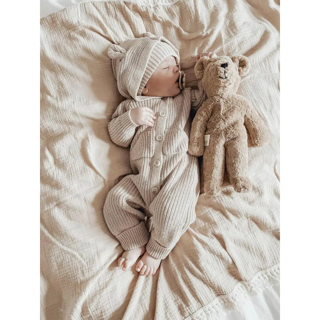 Teddybjørn liten kosedyr