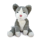 Katt liten kosedyr