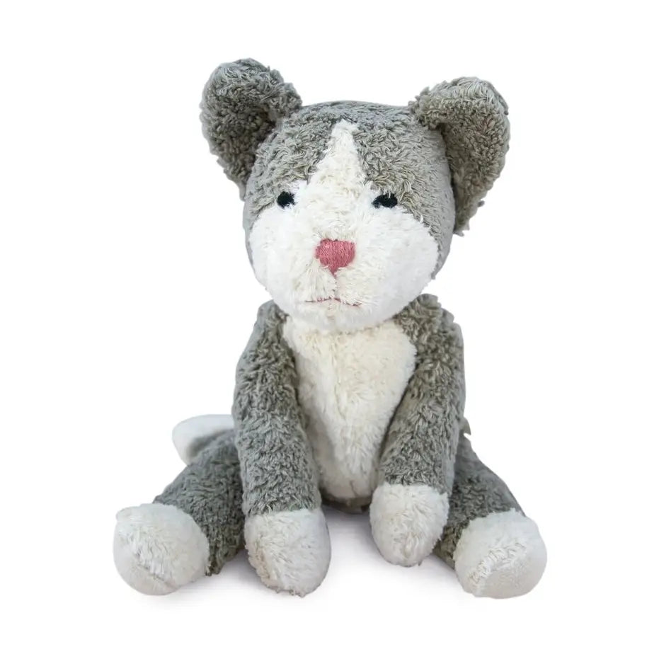 Katt liten kosedyr