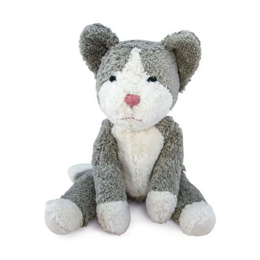Katt liten kosedyr