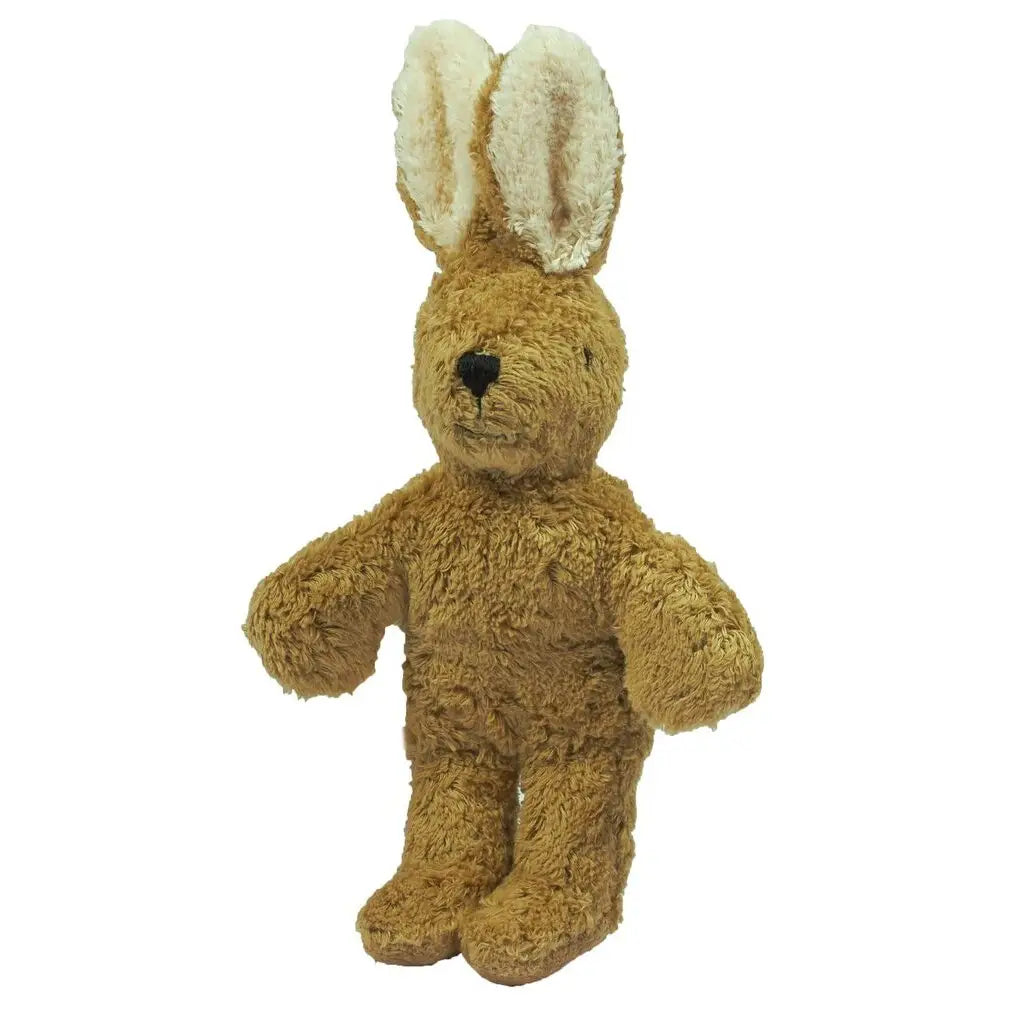 Hare baby kosedyr