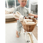 Kanin liten kosebamse