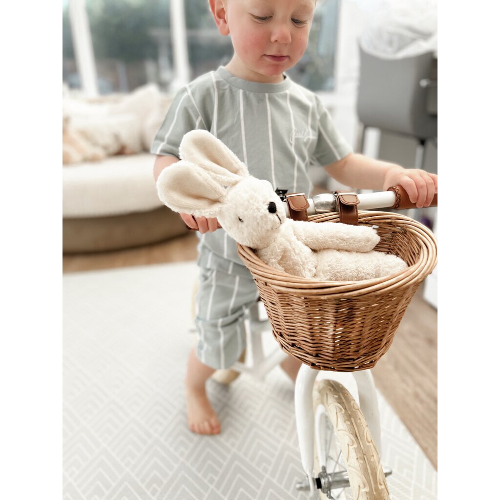 Kanin liten kosebamse
