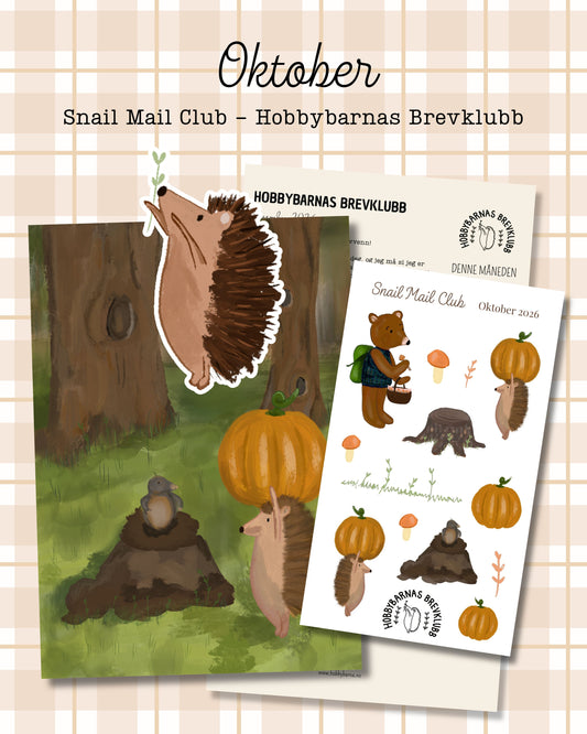 SNAIL MAIL CLUB - Hobbybarnas Brevklubb  (BREV) inkl frakt - abonnement